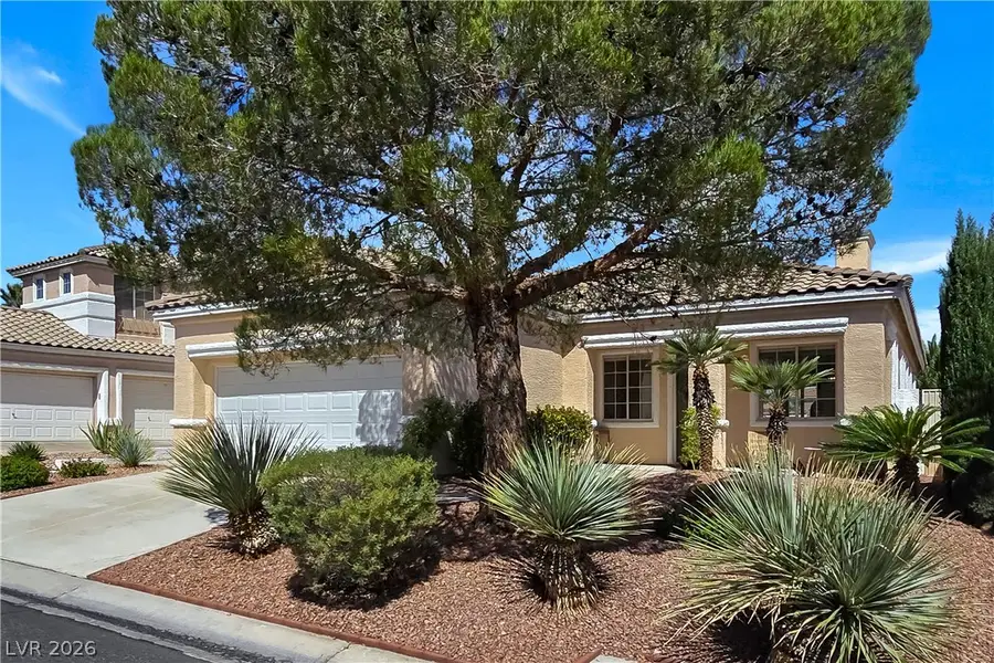 10104 Pinnacle View Place, Las Vegas, NV 89134 - #3
