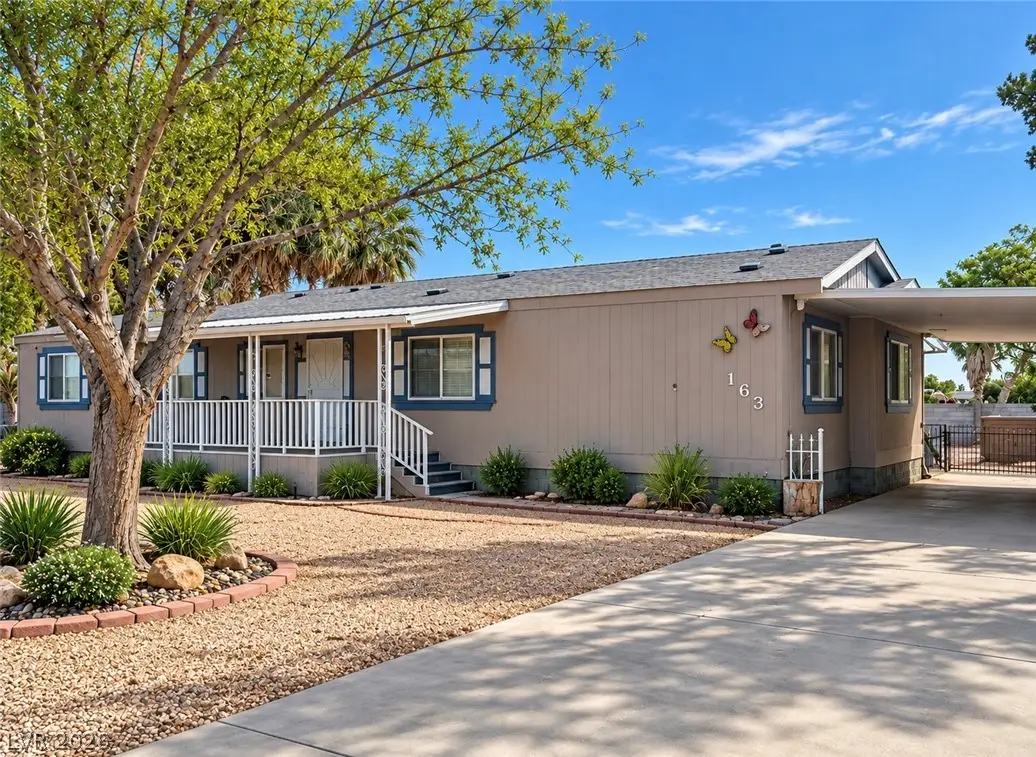 163 Trailzend Avenue, Overton, NV 89040 - #1