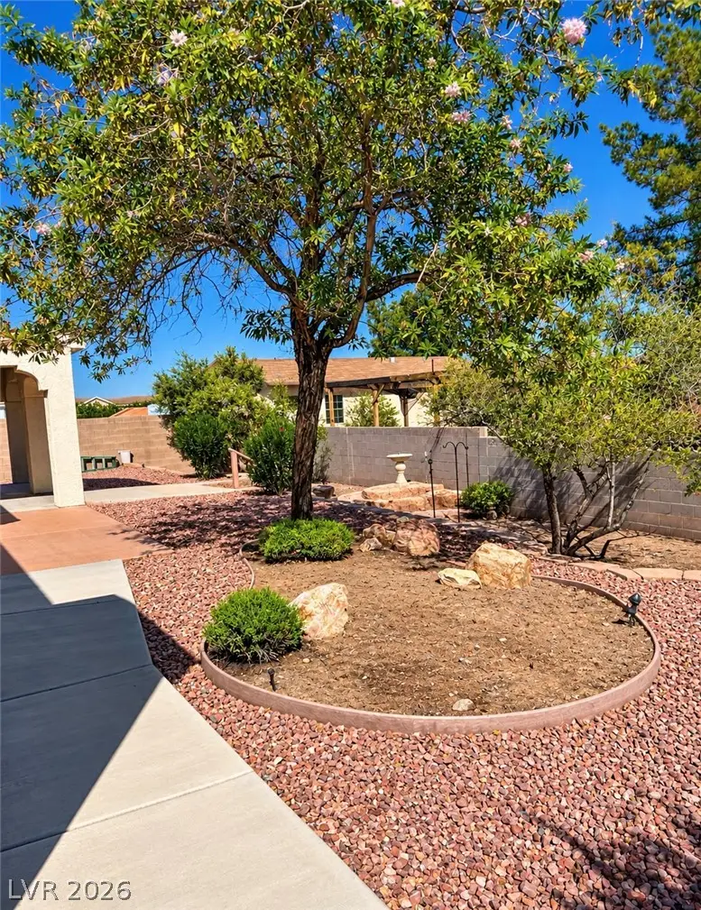 664 Lillian Condie Road, Overton, NV 89040 - #3