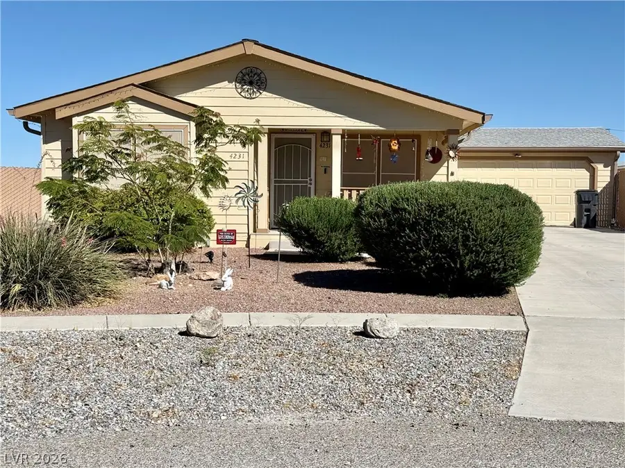 4231 E Winterwood Road, Pahrump, NV 89048 - #2
