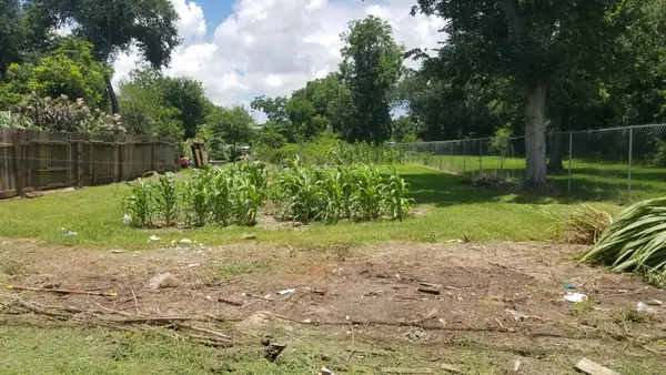 0 S N Martin Luther King, Hitchcock, TX 77563