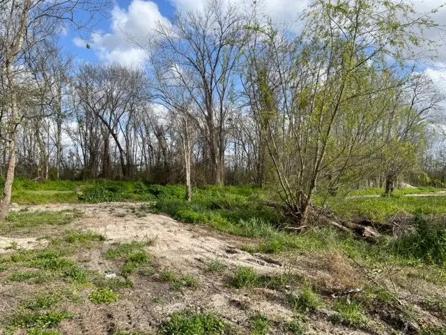 131 Mckeever Road, Rosharon, TX 77583 - #3
