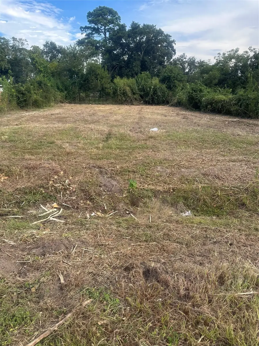 6907 Banyan Street, Houston, TX 77028 - #2