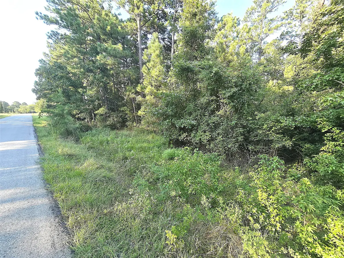 TBD Oakwood Drive, Huntsville, TX 77320 - Image #1