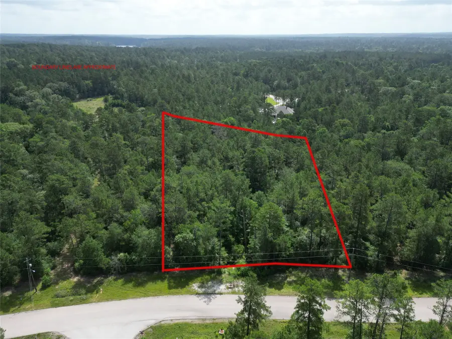 Lot 13 Windmill Road, Huntsville, TX 77340 - #3