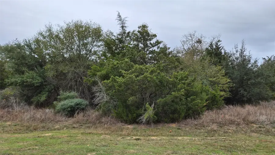 0 Shepard, Hempstead, TX 77445 - #2