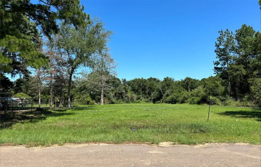 TBD Armagh, Hempstead, TX 77445 - Image #2