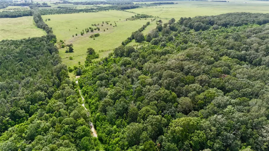 31100 Old Sour Lake Road, Sour Lake, TX 77659 - Image #3