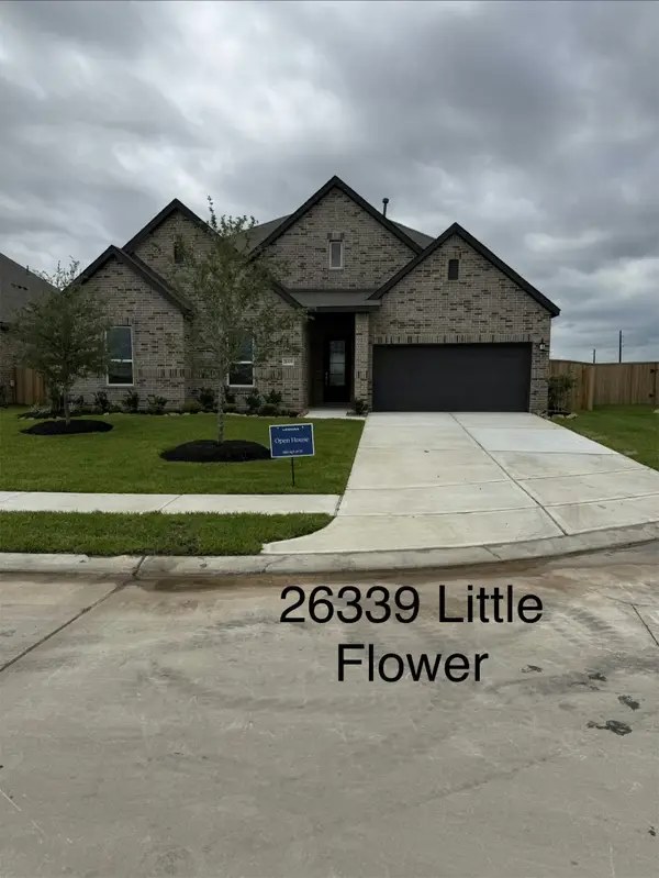 26339 Little Flower Lane, Katy, TX 77493