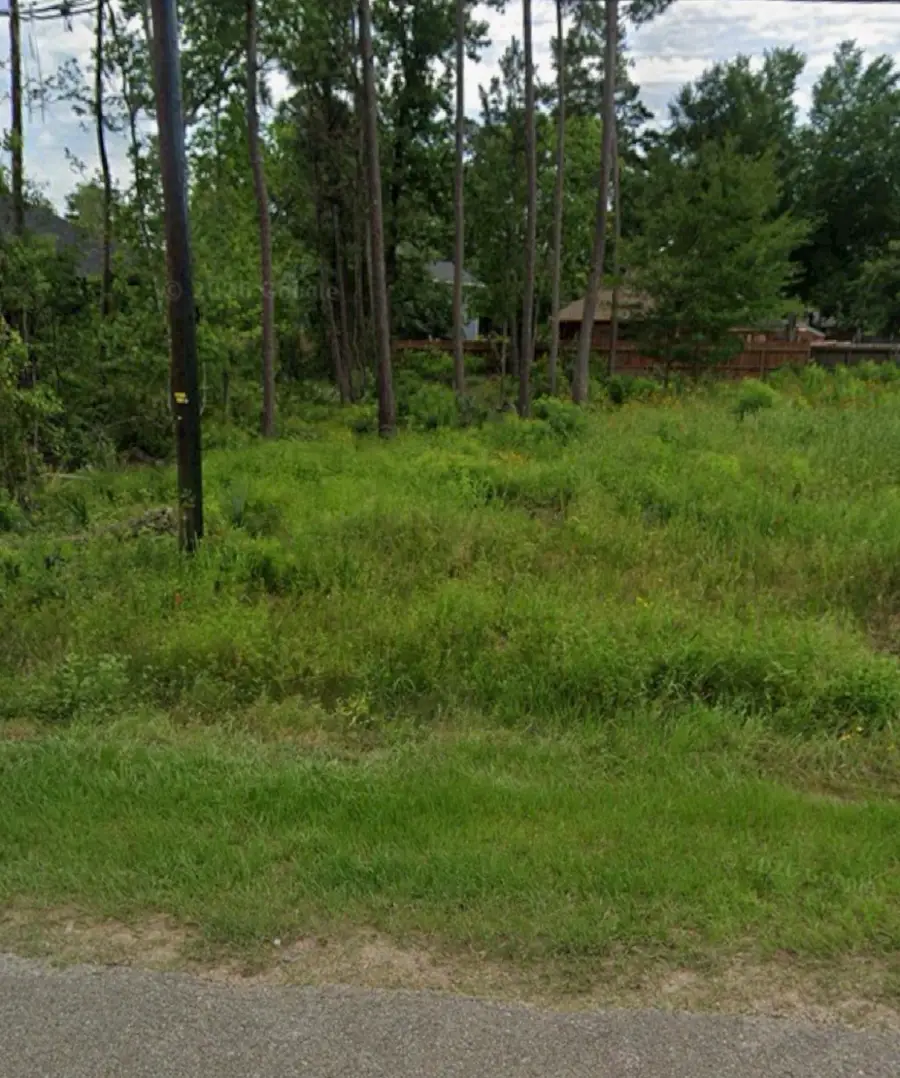 1307 Flamingo Street, Conroe, TX 77385 - #2