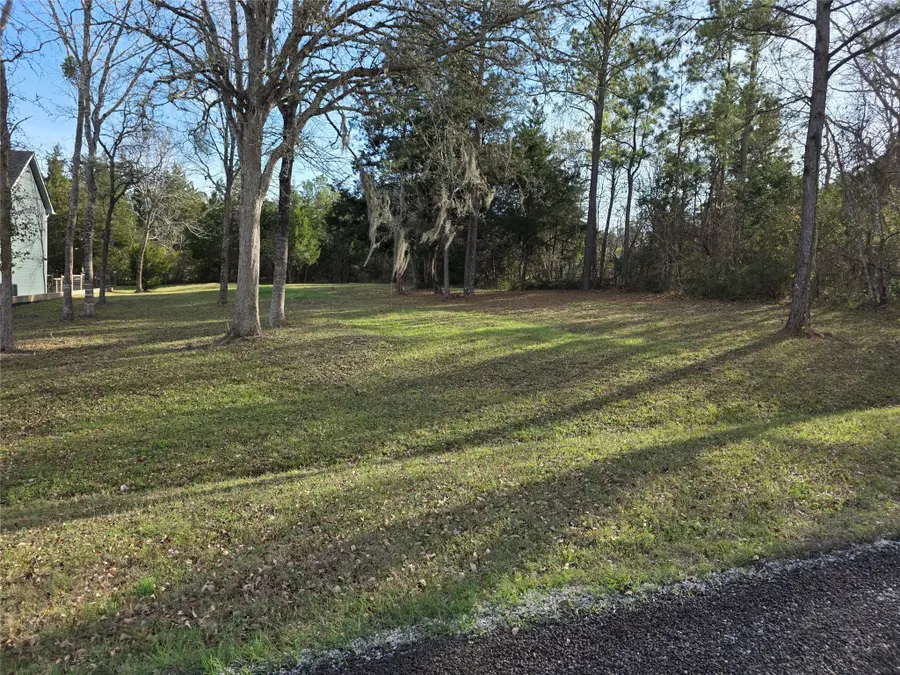 TBD Toucan Lane, Coldspring, TX 77331 - #2