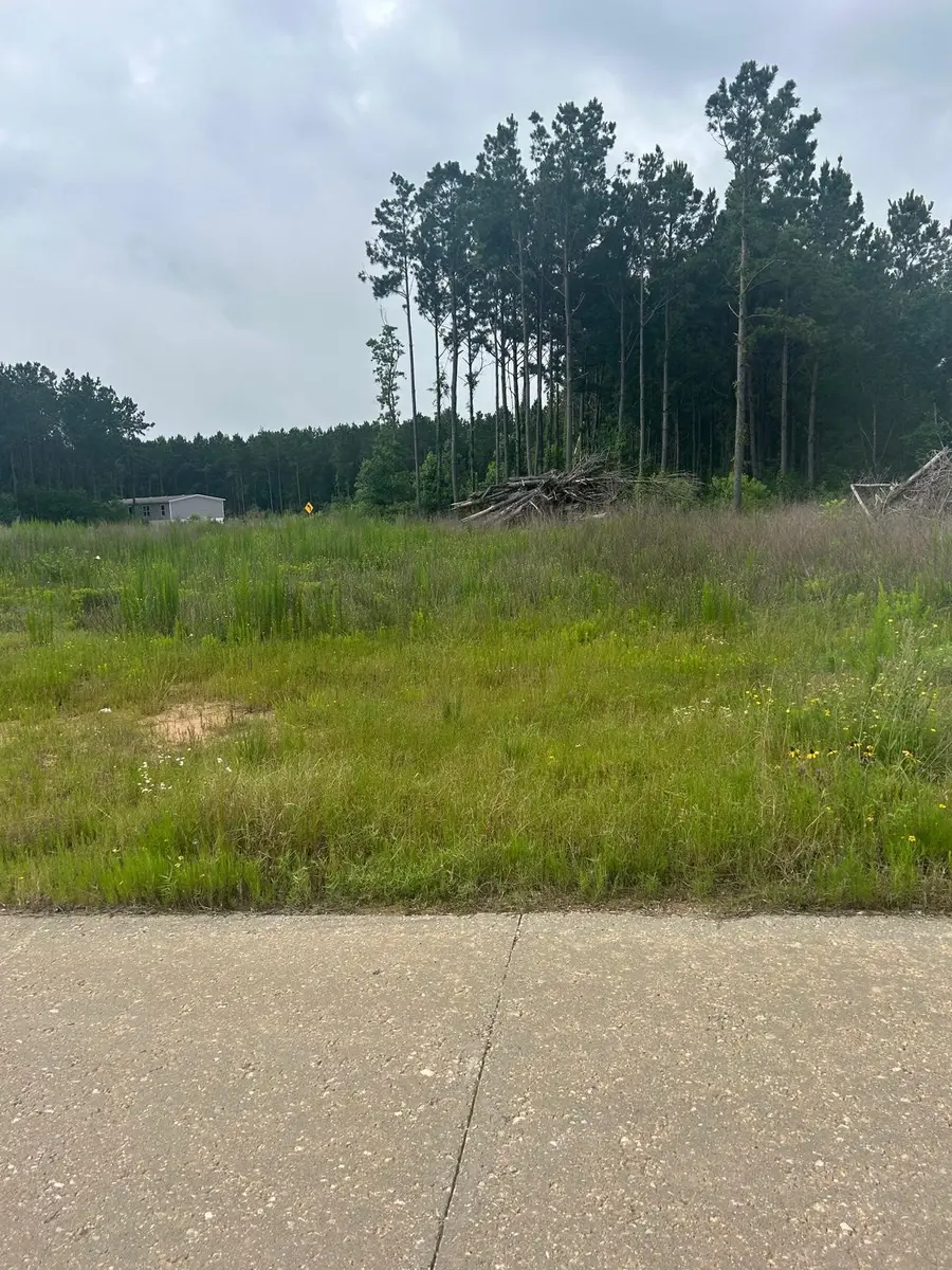 1517 Road 5894, Cleveland, TX 77327 - #2