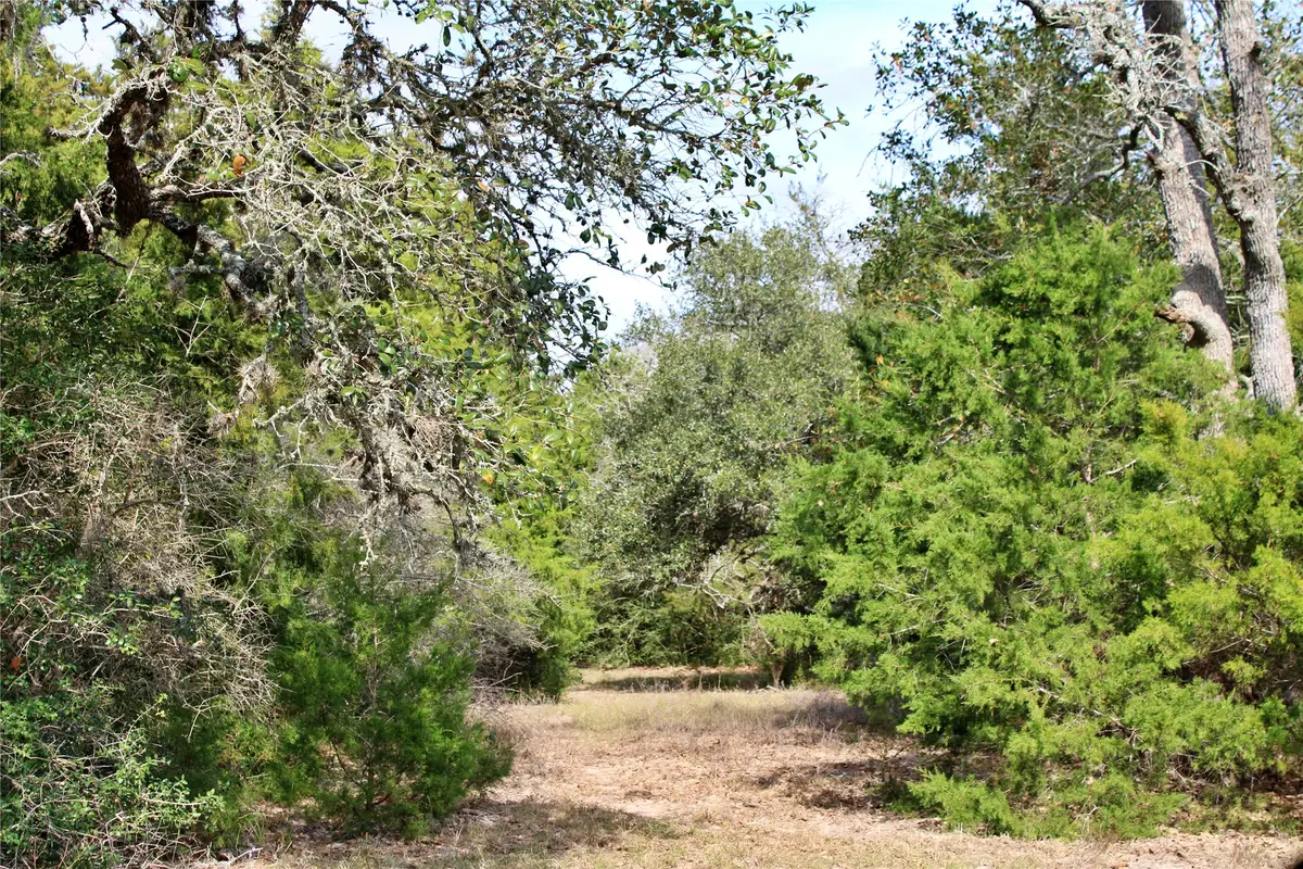 TBD Parcel 9 Lobo Lane, Columbus, TX 78934 - #1