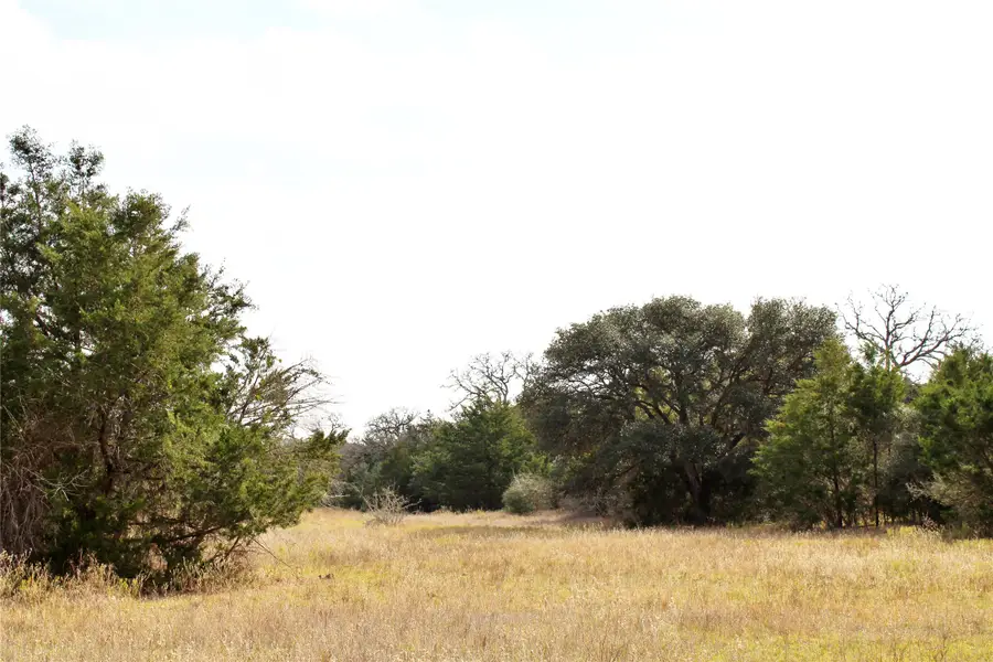 TBD Parcel 9 Lobo Lane, Columbus, TX 78934 - #3