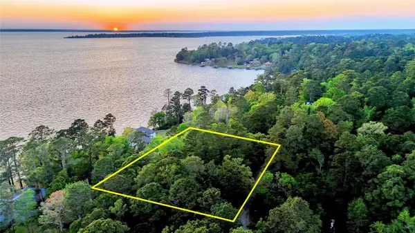 252 Forest Ridge Drive, Livingston, TX 77351