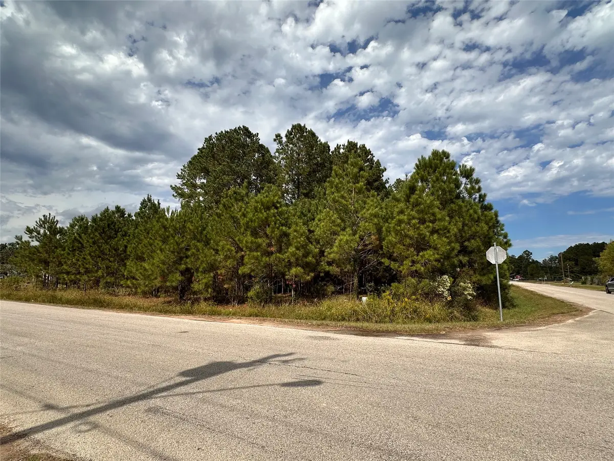 3116 County Road 3479b, Cleveland, TX 77327 - Image #1