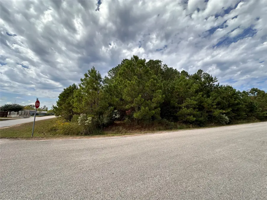 3116 County Road 3479b, Cleveland, TX 77327 - Image #2