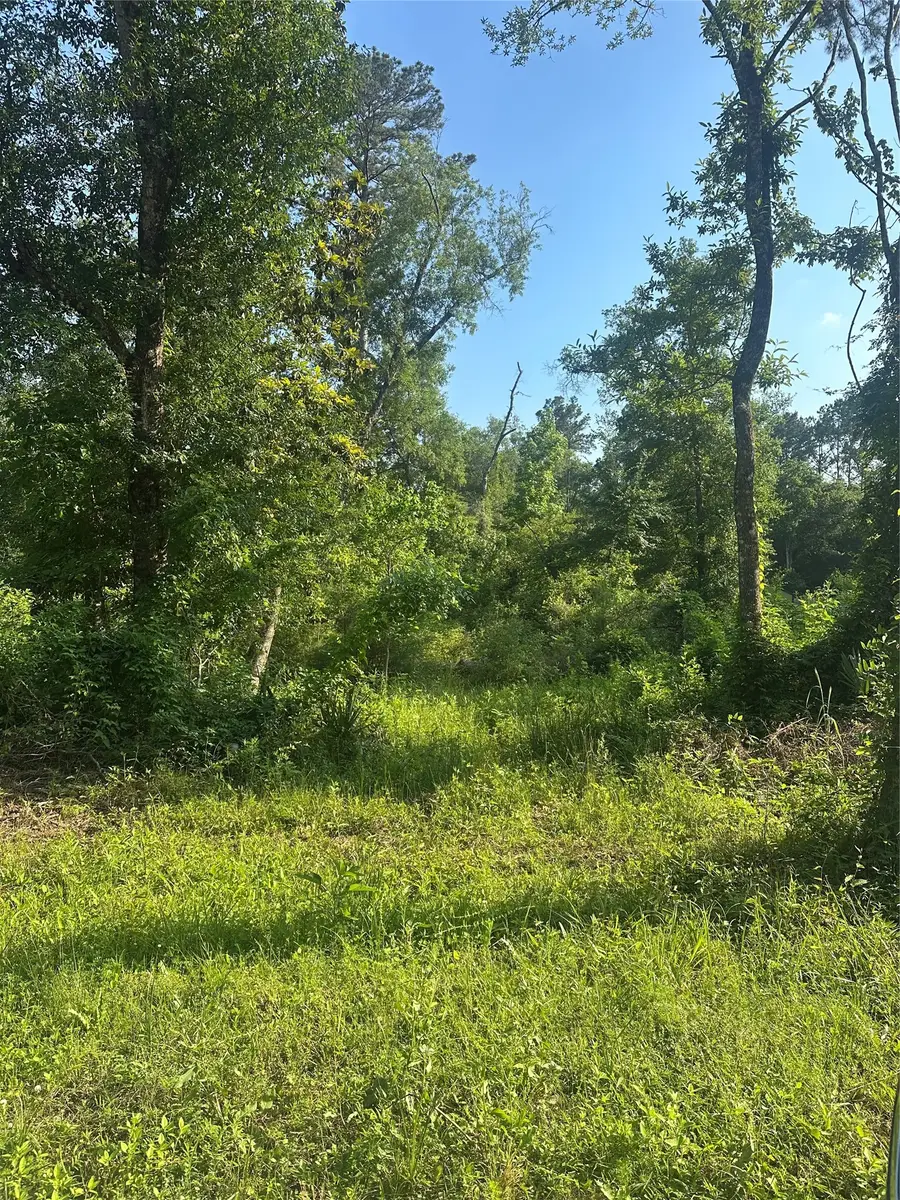 TBD Little Lane, Shepherd, TX 77371 - #2