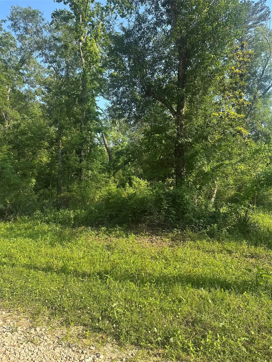 TBD Little Lane, Shepherd, TX 77371 - #3
