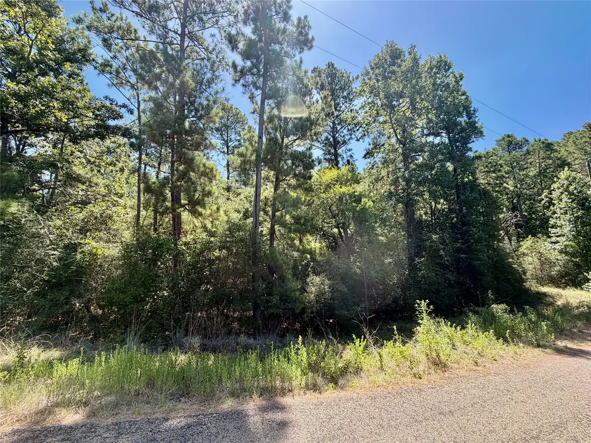TBD Lori Drive, Trinity, TX 75862 - #1