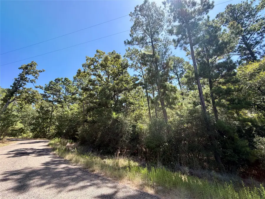 TBD Lori Drive, Trinity, TX 75862 - #2