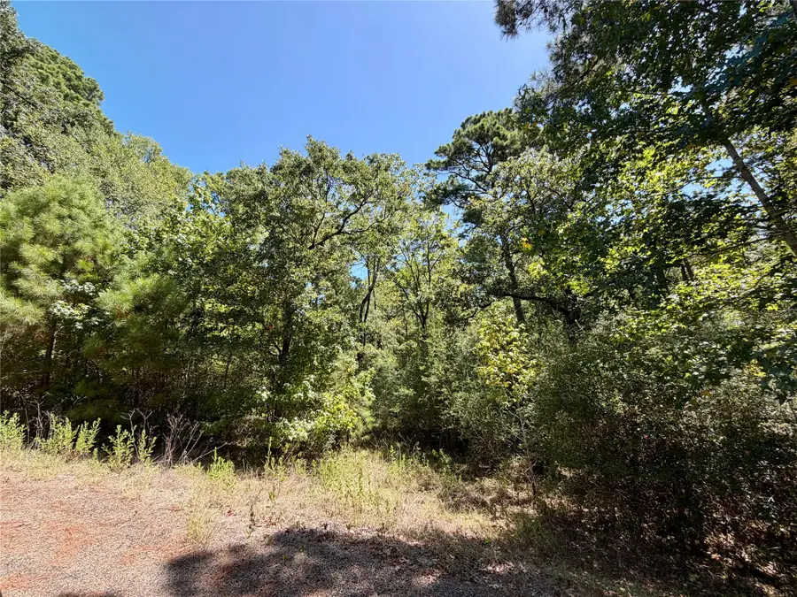TBD Lori Drive, Trinity, TX 75862 - #3