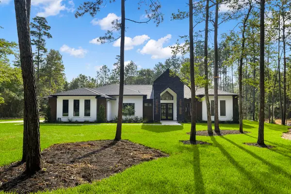 15868 Wooded Trail Way, Willis, TX 77378
