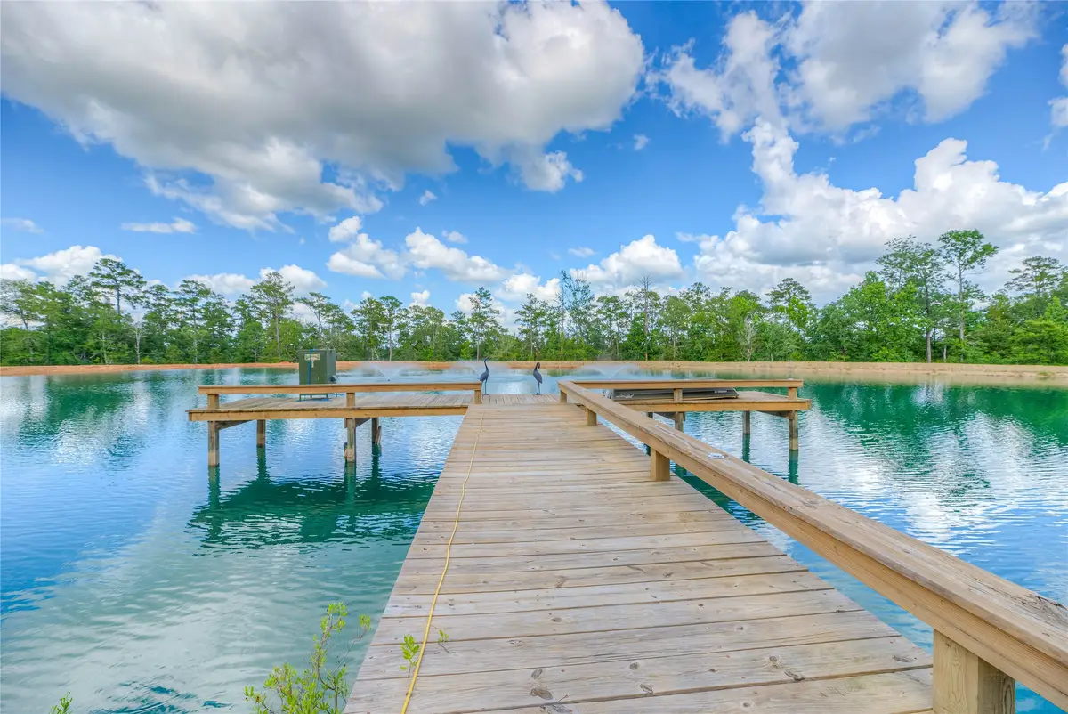 8214 Fm 350 N, Livingston, TX 77351 - #1