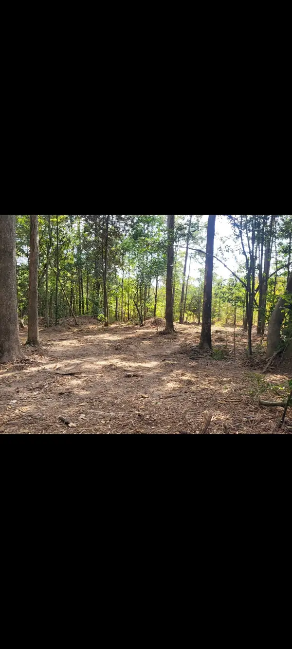 TBD Bear Hollow, Cleveland, TX 77328