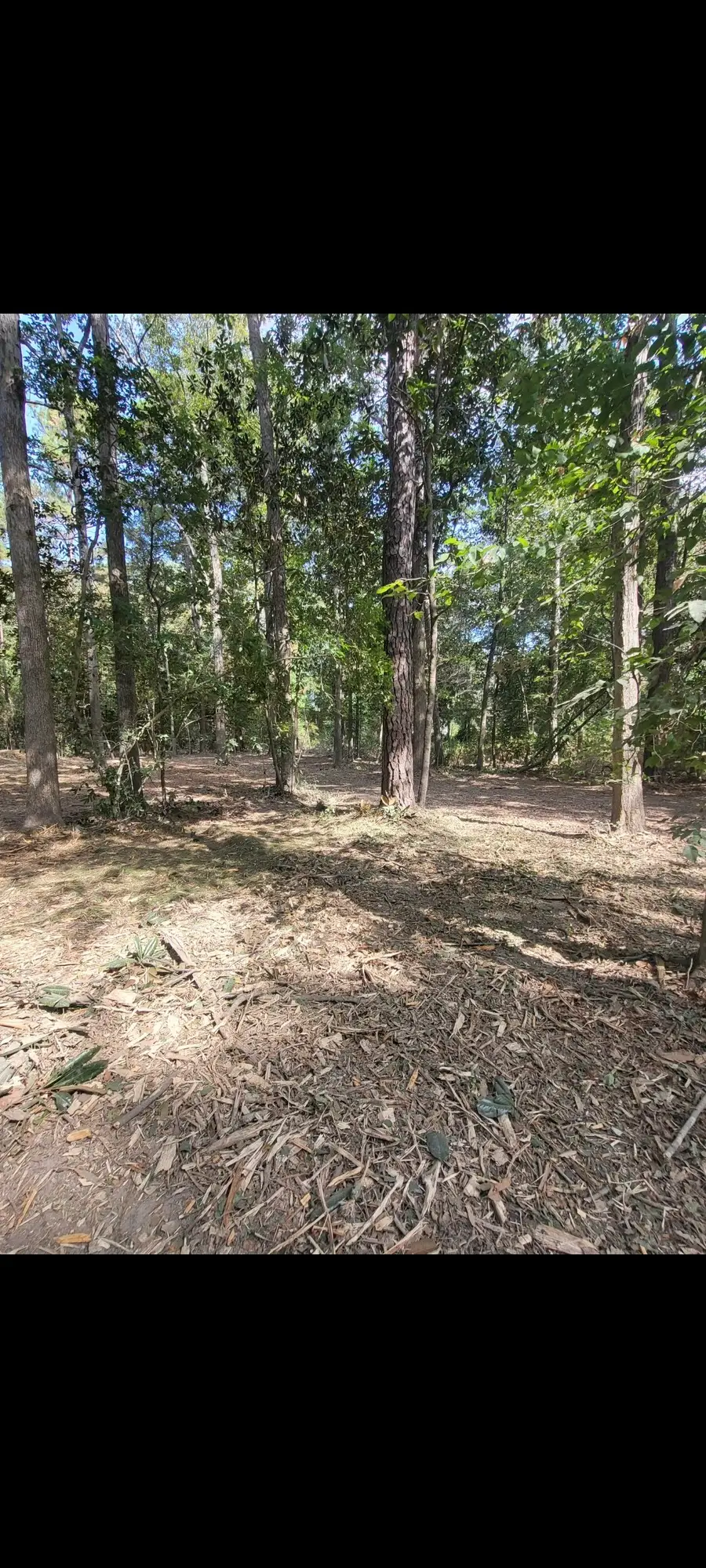 TBD Bear Hollow, Cleveland, TX 77328 - #3