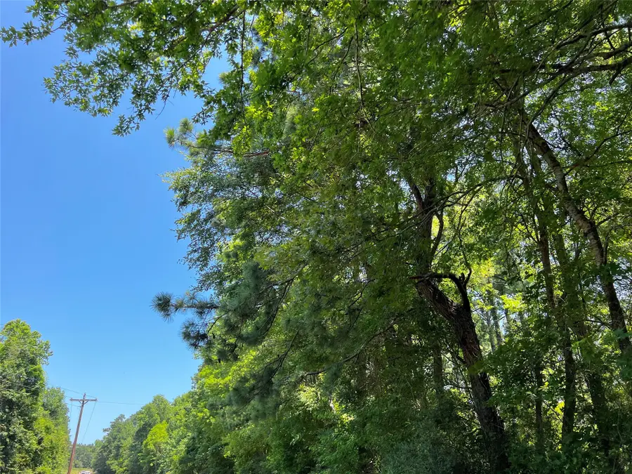 9 Fm 330, Geneva, TX 75959 - #2