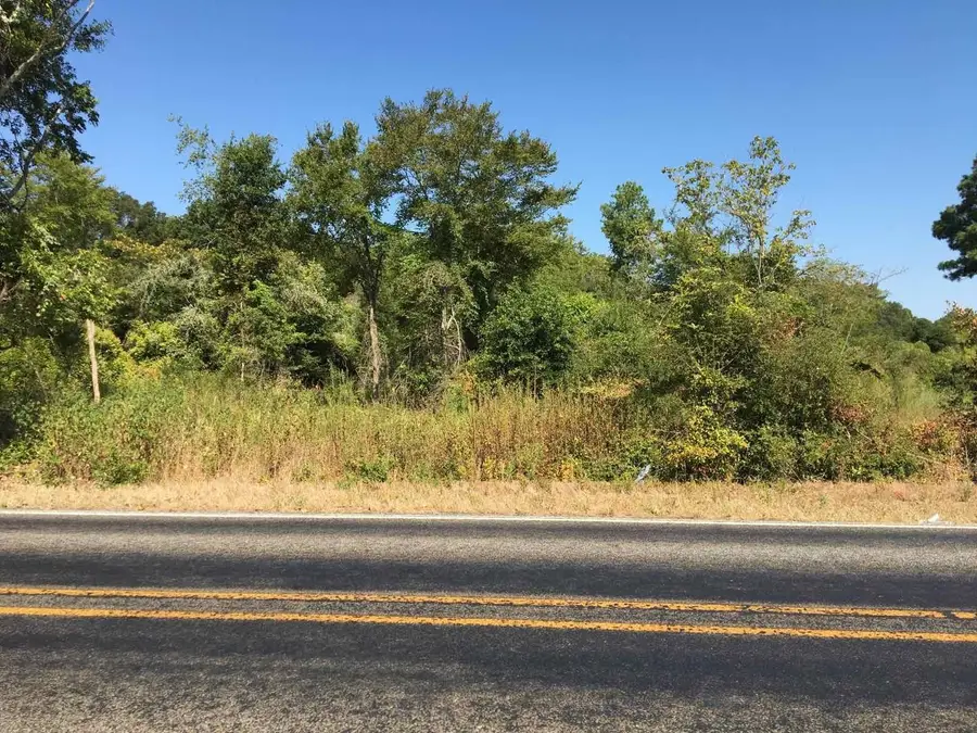 TBD State Hwy 294, Elkhart, TX 75839 - #2