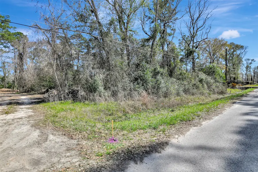 TBD Lot 112 White Birch Lane, Conroe, TX 77385 - #2