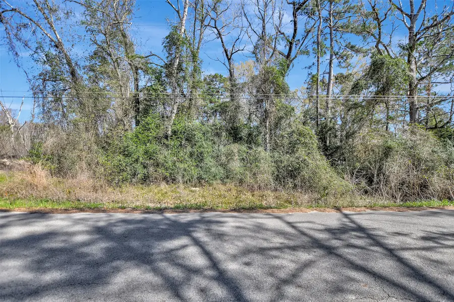 TBD Lot 112 White Birch Lane, Conroe, TX 77385 - #3