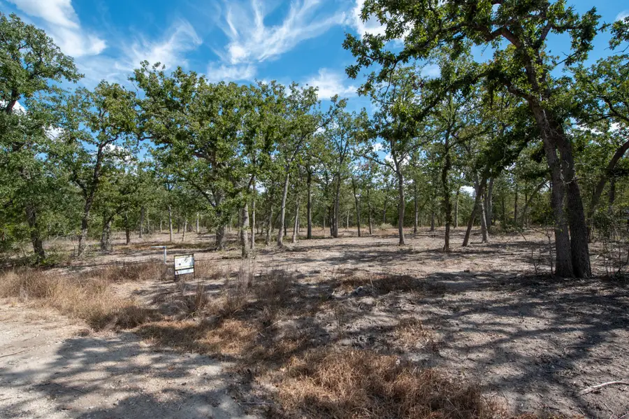 Lots 211 & 212 Forest Oak Drive, Somerville, TX 77879 - #3