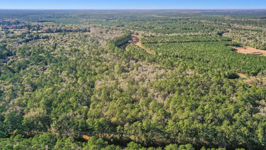 0003 Hwy 61, Hankamer, TX 77562 - #3