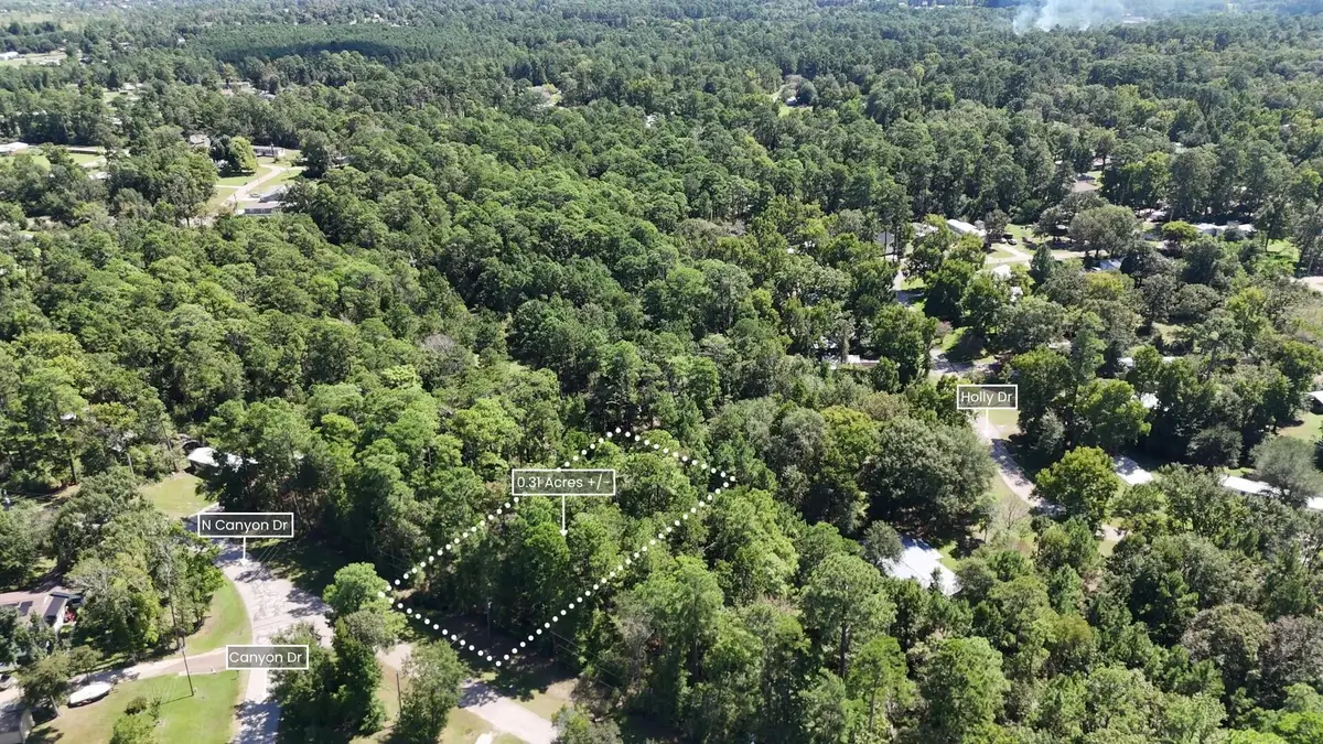 Lot 226 N Canyon Drive, Onalaska, TX 77360 - #1