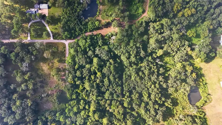 Tract 136 Garden West, Conroe, TX 77302 - #3