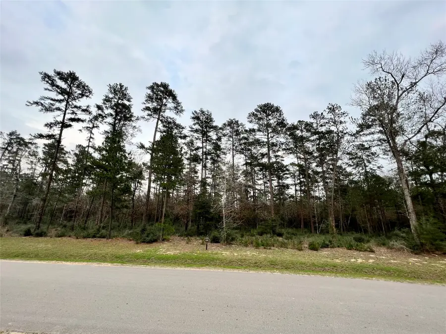 TBD 5 Lily Bean, Montgomery, TX 77316 - #2