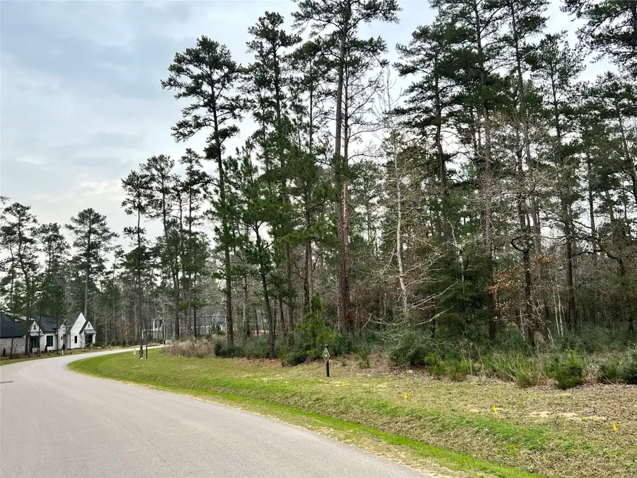 TBD 5 Lily Bean, Montgomery, TX 77316 - #3