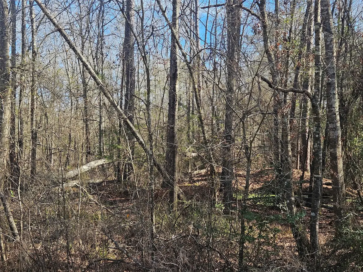 0 Red Road, Shepherd, TX 77371 - #1