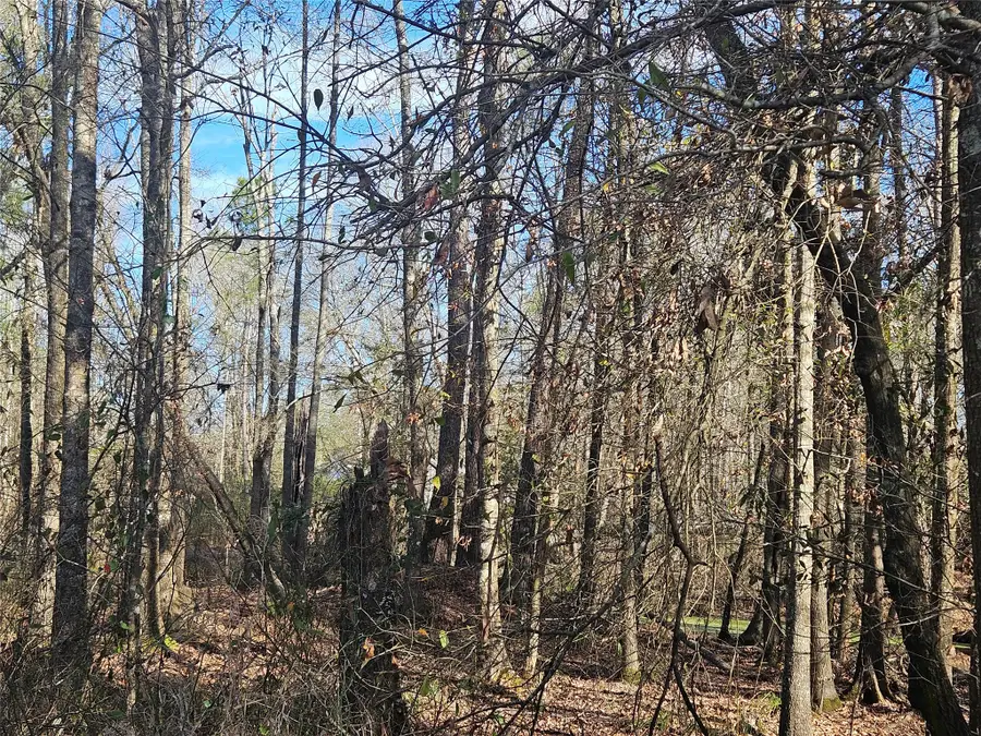 0 Red Road, Shepherd, TX 77371 - #2