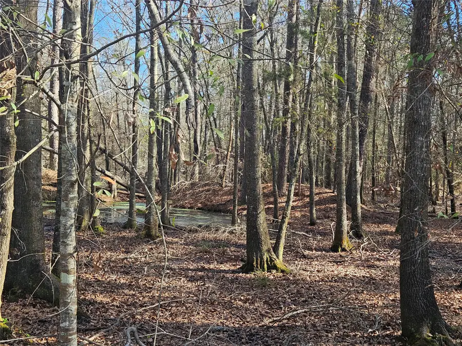 0 Red Road, Shepherd, TX 77371 - #3