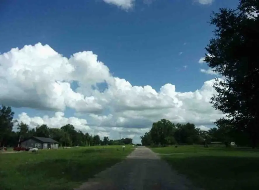 115 Cr 681, Teague, TX 75860 - #3