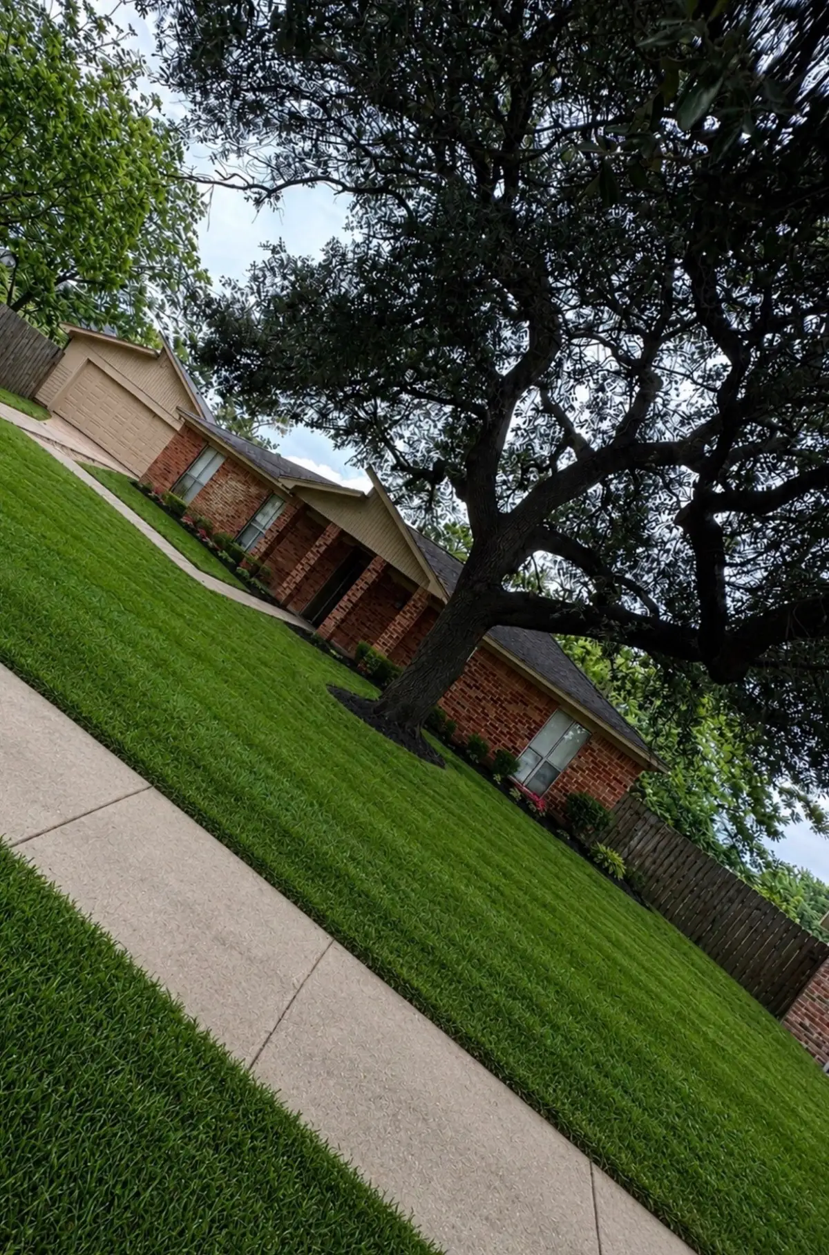11211 Broken Sky Drive, Houston, TX 77064 - #1