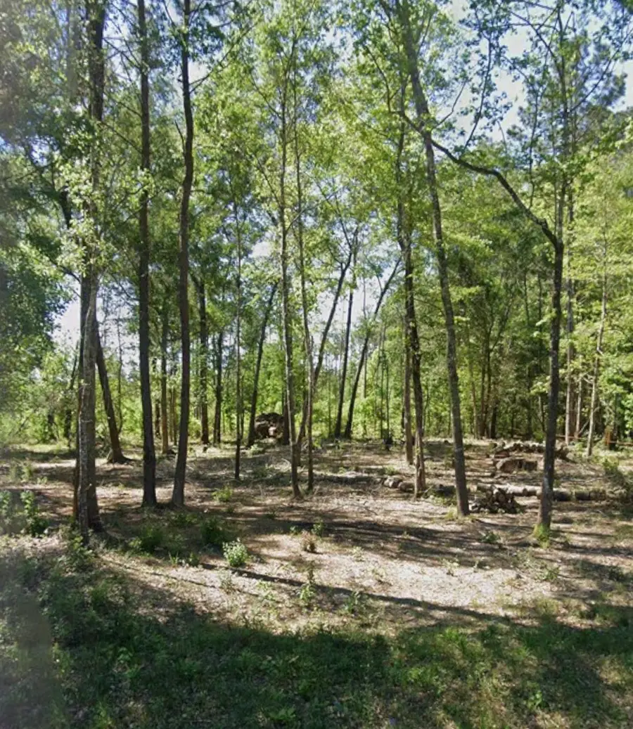 000 Sherwood Drive, Shepherd, TX 77371 - #3