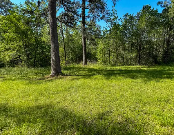 0 Old Houston Rd, Huntsville, TX 77340