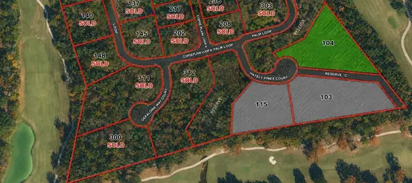 104 Chateau Pines Court, Montgomery, TX 77316