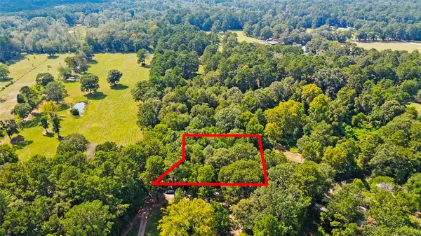 TBD County Road 2192, Cleveland, TX 77327