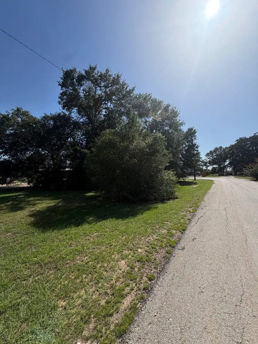 406 Bean St, Hempstead, TX 77445 - #2